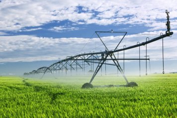 Agriculture
